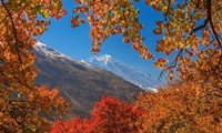 Hunza 90 Pakistan